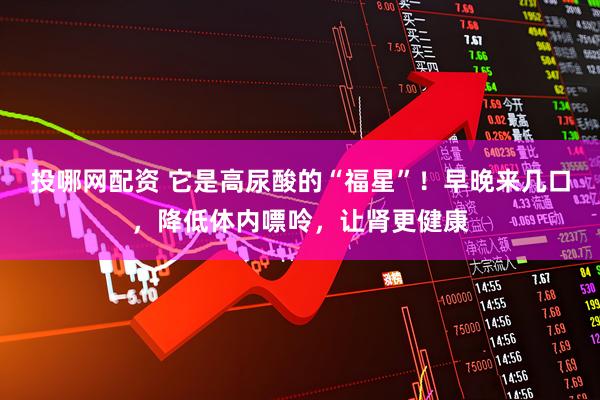投哪网配资 它是高尿酸的“福星”！早晚来几口，降低体内嘌呤，让肾更健康