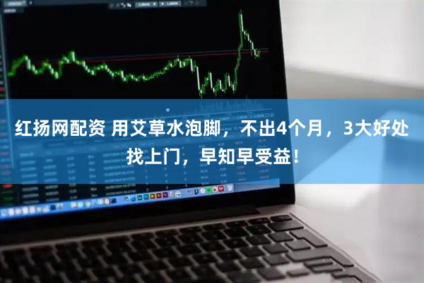 红扬网配资 用艾草水泡脚，不出4个月，3大好处找上门，早知早受益！